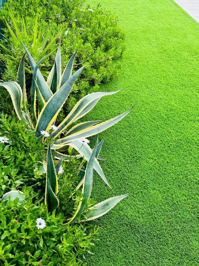 Holiday home Quinta Do Pica-pau Amarelo Grandola