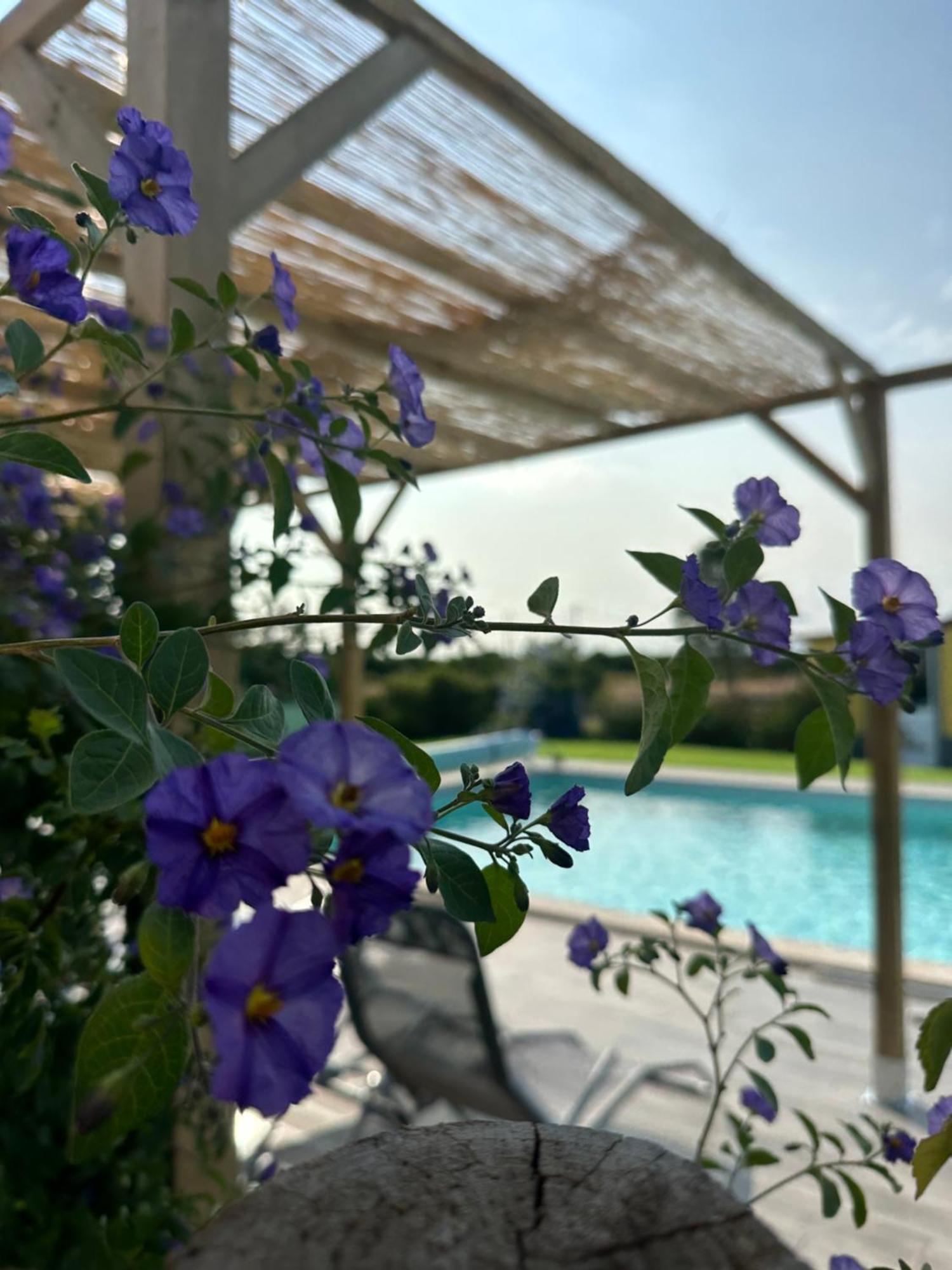Holiday home Quinta Do Pica-pau Amarelo Grandola